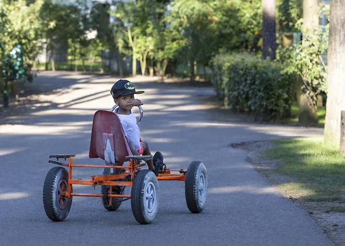 Oostappen Bv ארנהיים