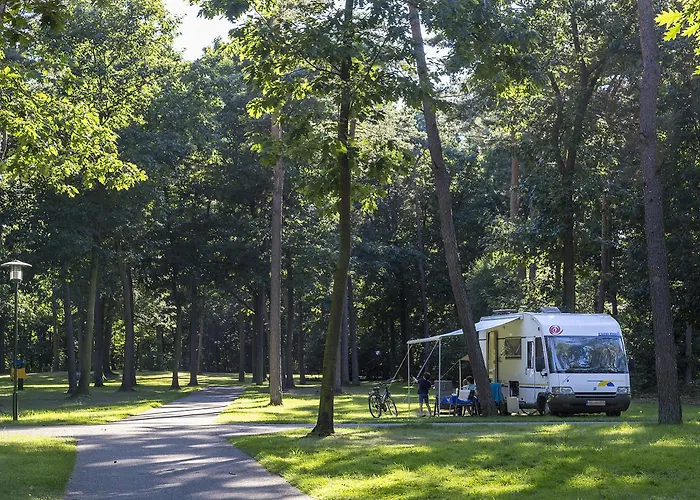 Parque de vacaciones Oostappen Bv 3*