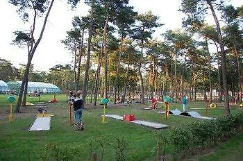 Oostappen Bv 3*