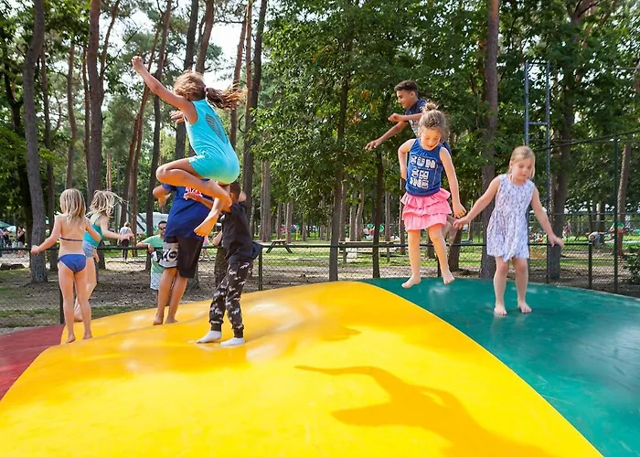 Oostappen Bv Vakantiepark 3*